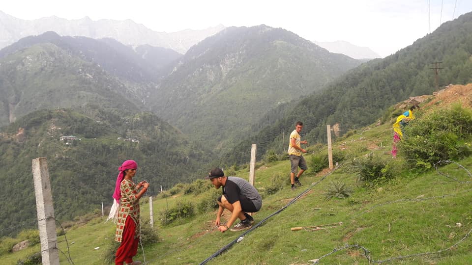 Hillside fencing fieldwork