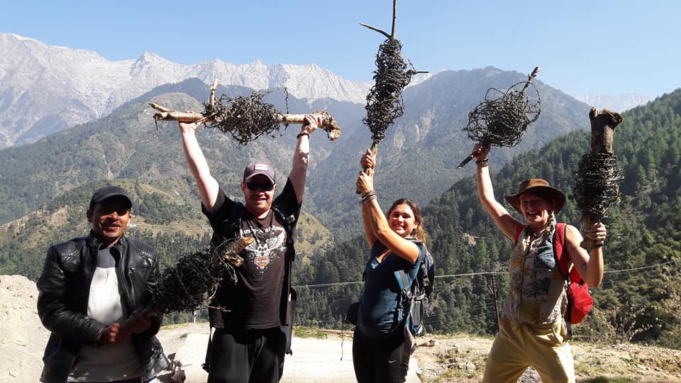 Forest conservation cleanup, Dhauladhar
