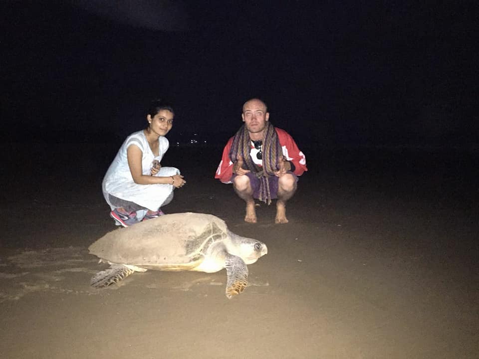 Sea turtle conservation, Goa